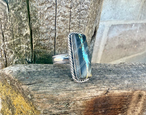 The Nevada Ring